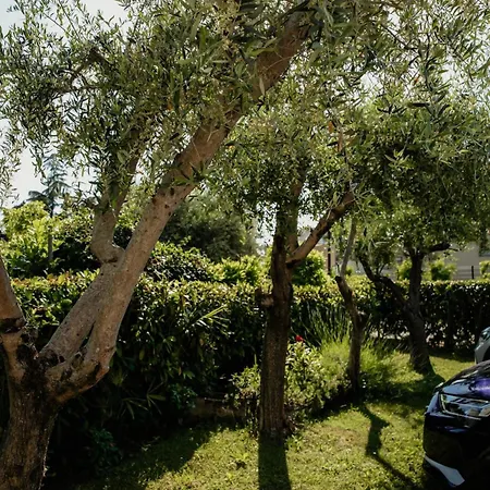 Apartament Darko Poreč